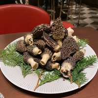 スガラボヴィー - 