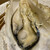 魚`S まん - 料理写真:「牡蠣のガンガン蒸し」海鮮と牡蠣コース2.5h飲み放題付き10品＠5,000円