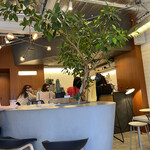 HARU COFFEE & BAR - 