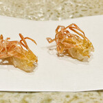 ぬま田 - 車海老　頭