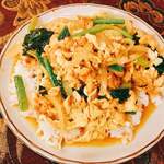 シルクロード ムラト - 