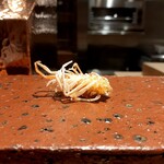 Tempura Sakurabito - 