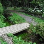 そば処 水無湧水庵 - お店のそばの小川（紫陽花がキレイです）