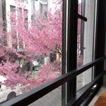 ダ ゴトウ - 窓側の席が桜の時期はオススメ