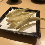 Tempura To Wain Ooshio - 