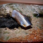 千葉たかおか - 三番瀬の小肌。ふっくらと柔らかい身質。