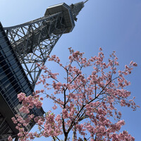 魚とおばんざい 泉士 - 