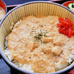 Hakusan hard tofu curry