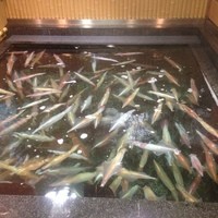 稚加榮 本店 - 