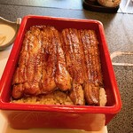 満寿家 - 並盛は控えめです