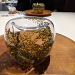 ラ・ヴァガボンド - 