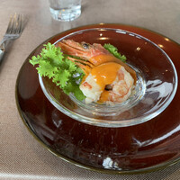 スミレオオサカ - 