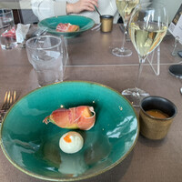 スミレオオサカ - 