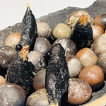 ラ・ヴァガボンド - イカスミのベニエ