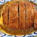 カフェ　ド ヴァン - ○オムカツカレー
            オムレツは玉子にフワトロ感があり、
            更に上から溶き卵を掛けられていて
            マイルドで美味しい味わい。