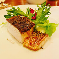 ロッツォシチリア - 