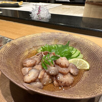 山桜 - 