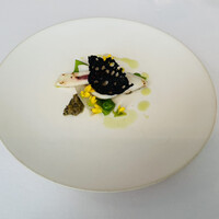 IZA - イカのソテー　蕗の薹のタプナードソース