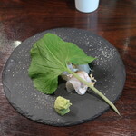 日本酒Dining 根岸 川木屋 - 真鯛刺岩塩〆