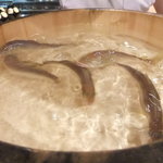 壽山 - 2013/07　琵琶湖泳がし鮎