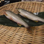 壽山 - 2013/07　長良川