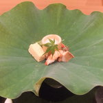 壽山 - 2013/07　八寸