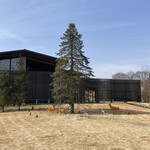 Japanese cuisine Shinju - 