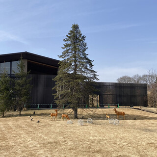 Japanese cuisine Shinju