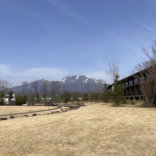 Japanese cuisine Shinju