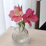 リストランテ ラ ソリア - （2023.1）