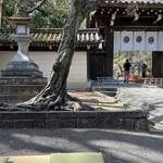 あぶり餅 本家 根元 かざりや - 