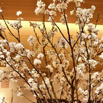 玄水 - 店内に桜