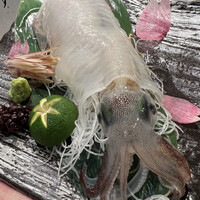 鮨 からす 十三店 - 