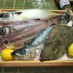 夜ノ森 - 高知県宿毛産の朝獲れ鮮魚
