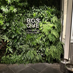 BOSQUE - 