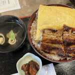 Unagi - 