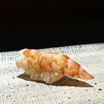 鮨 西崎 - 車海老も甘み際立って美味しい！
      こちらは、海老に合わせてしっかりした握りで。