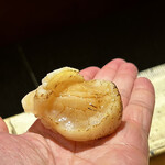 鮨 西崎 - 打って変わって、帆立は手渡しのふんわり握り♪
      香ばしさを楽しむように、空気を含んだシャリとの相性は抜群！