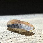 鮨 西崎 - 〆さば、美味しいー♪
      甘酢で炊いた白板昆布を乗せて、豊かな味わいです。