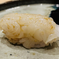 寿司処 しん - 長崎県産　あおりいか