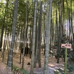 休耕庵 竹の庭の茶席 - 