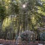 休耕庵 竹の庭の茶席 - 