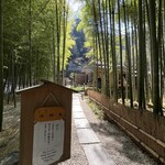 休耕庵 竹の庭の茶席 - 拝観チケット購入時にお抹茶のチケットも購入しておきましょう♪