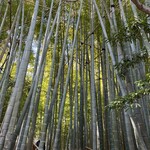 休耕庵 竹の庭の茶席 - 