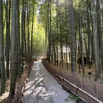 休耕庵 竹の庭の茶席 - 