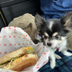 Stamina本舗 Kaya - 