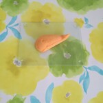 トレトゥール　マニョリア - 