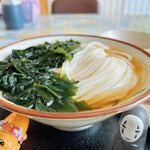 丸池製麺所 - 鳴門わかめうどん(ひやあつ)小 500円
                                美しすぎる～～