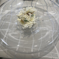 クイントカント - 