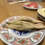 Kaisenzushi Shiogamakou - 